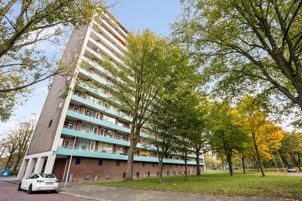 Langswater 831   37.jpg